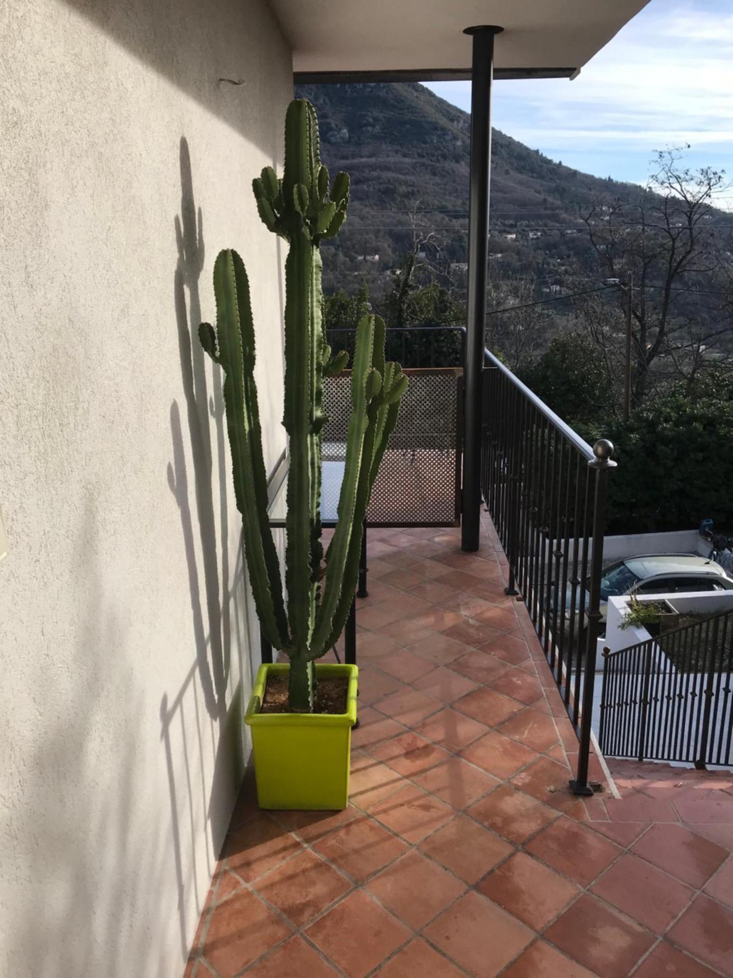 Haut De Villa Avec Vue - Le Bar Sur Loup 06 Extérieur photo