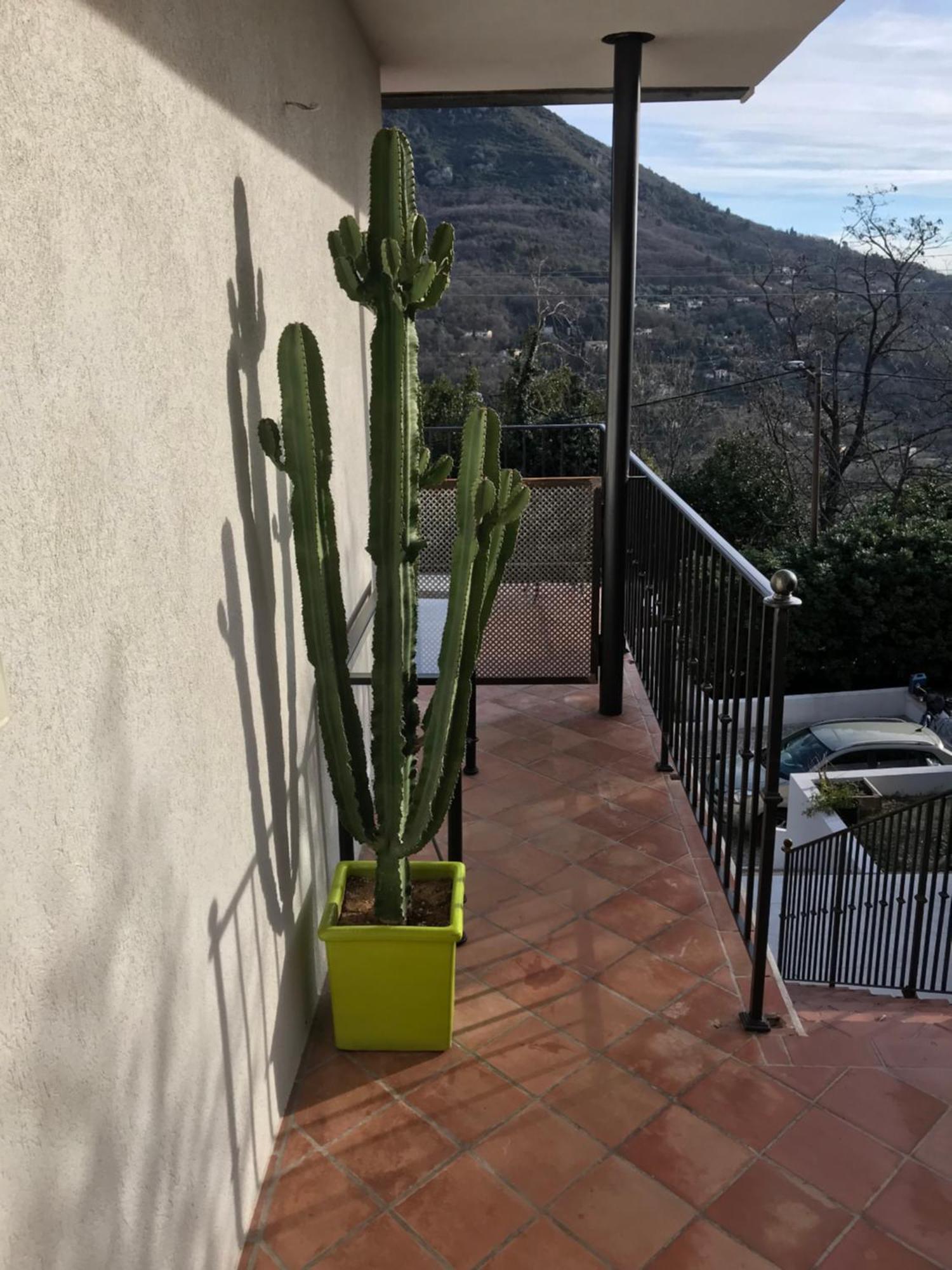 Haut De Villa Avec Vue - Le Bar Sur Loup 06 Extérieur photo